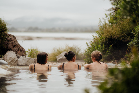 Auckland: Rotorua Highlights inc Wai-O-Tapu & Optional extra Wai O Tapu & Te Puia Guided Tour