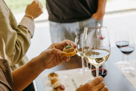 Barcelona - Penedes: Guided Tour at Jean Leon: 4 wines, 4 tapas Guided Tour with Tapas: Jean Leon Journey: 4 wines, 4 stories