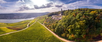 Rheingau, private tour of the sights - Housity