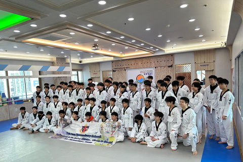 Busan: 1 Hour Taekwondo Experience with Master