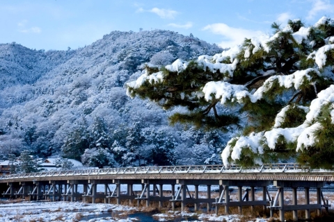 Vanuit Kyoto: Dagtocht met gids naar Kyoto en Nara met lunchTour met lunchbuffetschema 2024