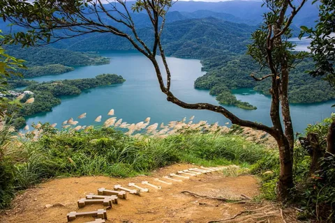 Au départ de Taipei : visite privée du lac des Mille-Îles et du musée du thé