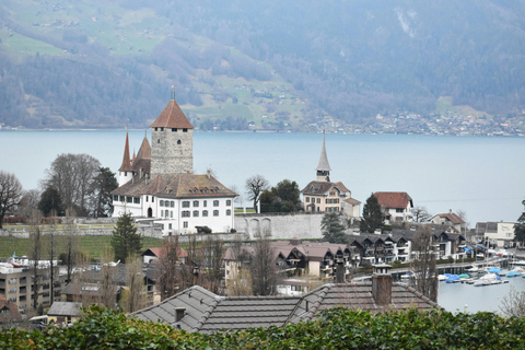 Jungfraujoch & Interlaken | VIP Sprinter Small Group