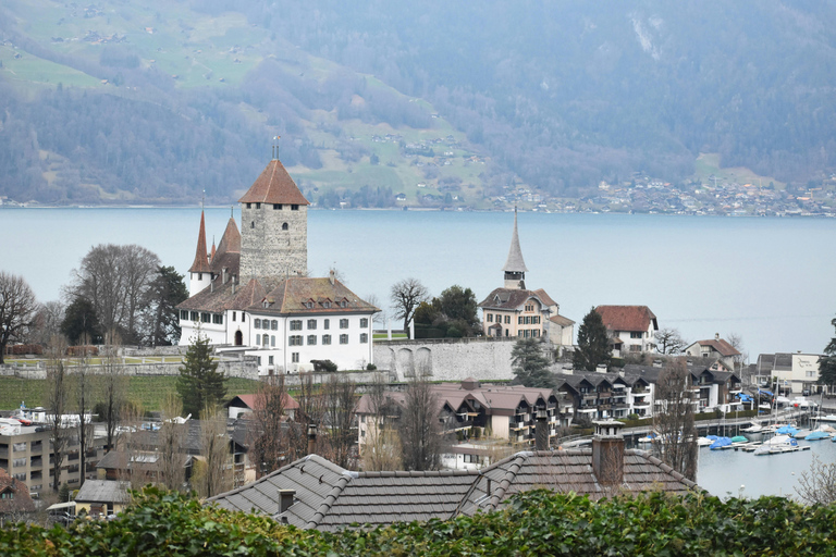Jungfraujoch & Interlaken | VIP Sprinter Small Group