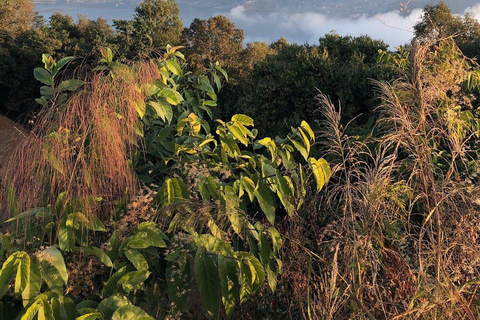 Pokhara: World Peace Pagoda Private Guided Tour