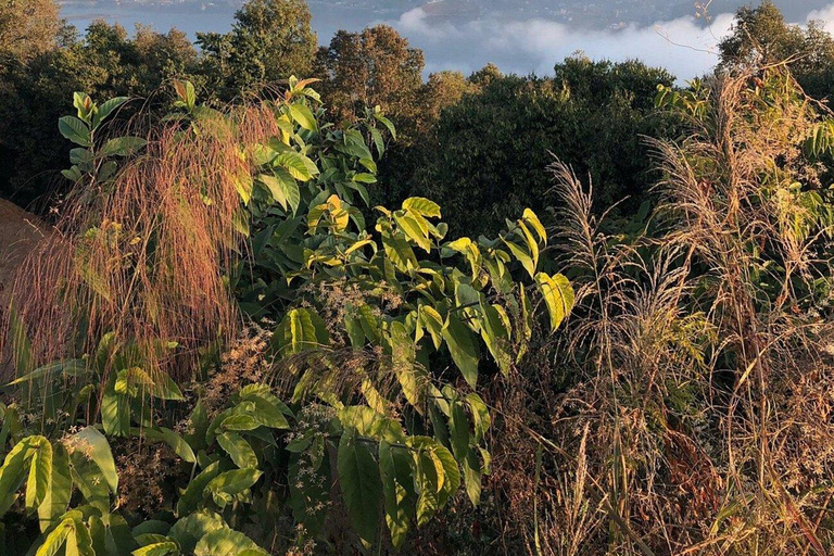 Pokhara: World Peace Pagoda Private Guided Tour