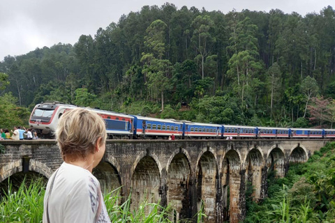 Mirissa to Ella: Rail Trails, Tea Villages & Highland Escape
