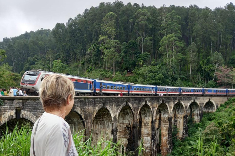 Mirissa to Ella: Rail Trails, Tea Villages & Highland Escape