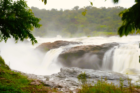 3-Day Ugandan tour with Murchison Falls, Rhinos & Chimpanzee