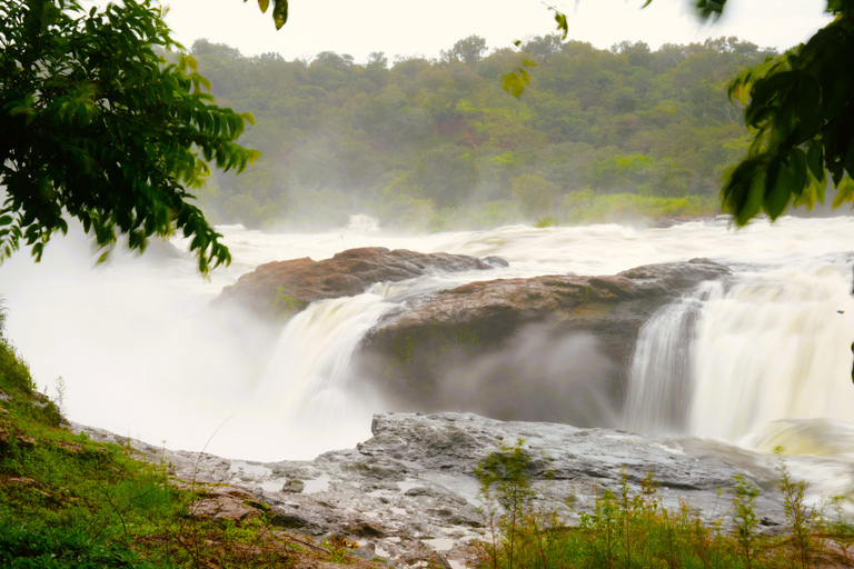 3-Day Ugandan tour with Murchison Falls, Rhinos & Chimpanzee