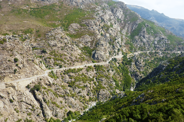 Corsica: Saint-Florent Half-Day Trip by Minibus from Bastia