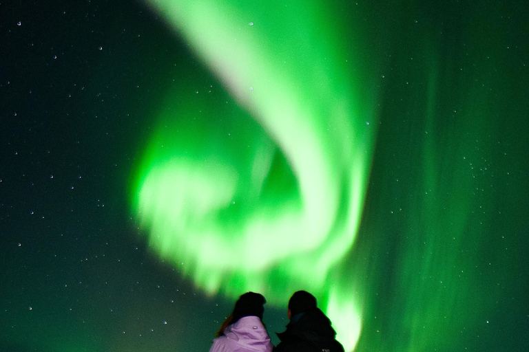 Rovaniemi: ✅ Northern Lights 100% Guarantee & Free Photos ✅ ✨ Small Group Northern Lights Hunting - Max 8 People ✨