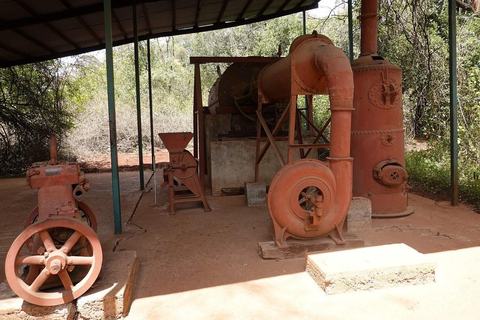 Nairobi :Karen Blixen Museum & Giraffe Centre Day Tour