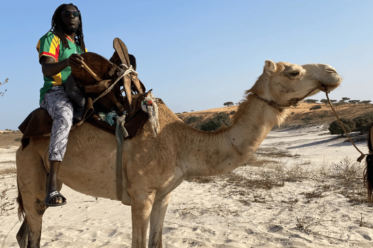 Experience Lampoul: Camel rides, sand dunes and desert safari in Senegal