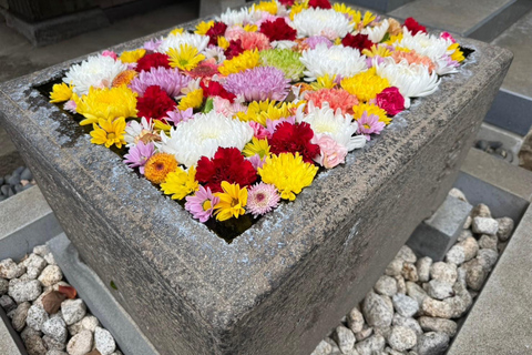 Tour di Yanaka e Sendagi: Scopri il fascino del centro storico di Tokyo