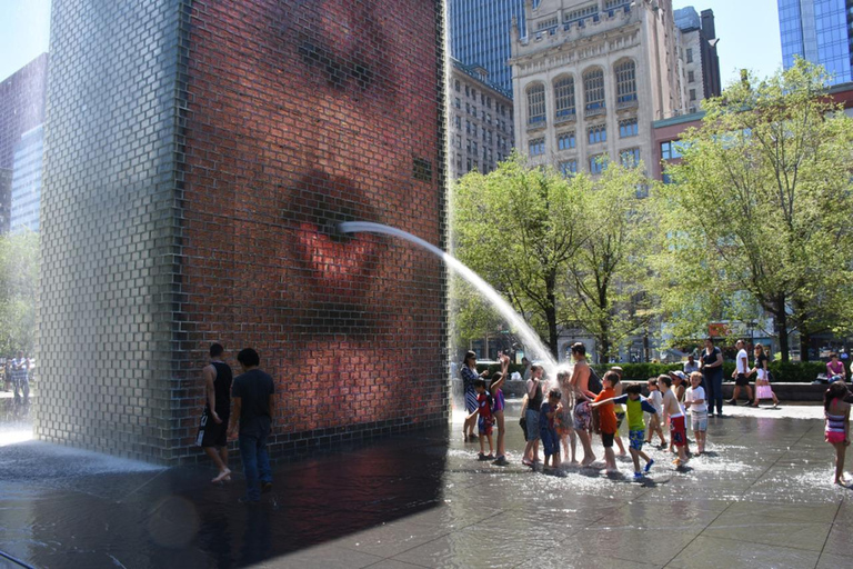 Chicago: Historia och arkitektur Historia &amp; arkitektur Rundvandring med båttur