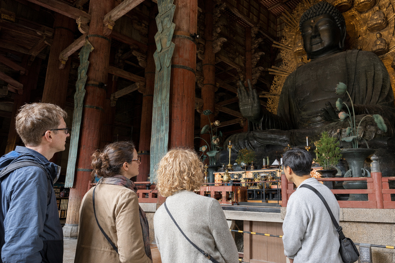 Nara: Autumn Colors, Deer & Historic Park Walk Early Bird 20% Off – Limited Autumn Offer