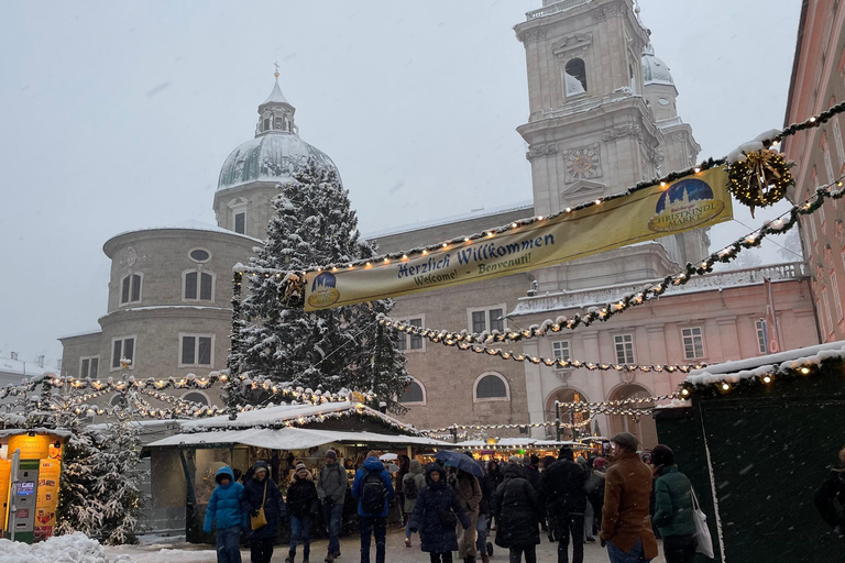 从维也纳到萨尔茨堡的奇妙冬季一日旅行英语之旅
