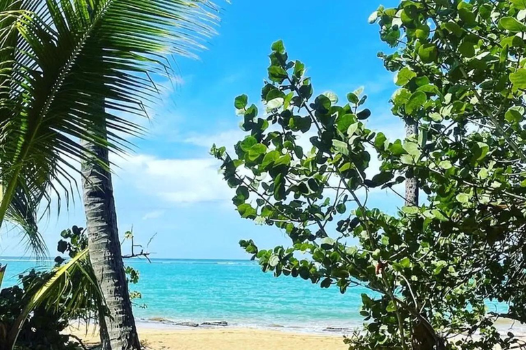 El Yunque &amp; Piñones Tour; Caminha, come e relaxa como um local