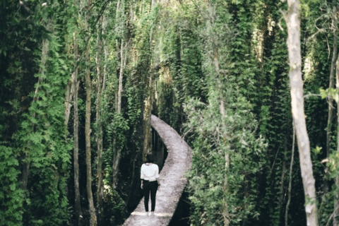 Ho Chi Minh: Explore the mangrove Can Gio forest full day