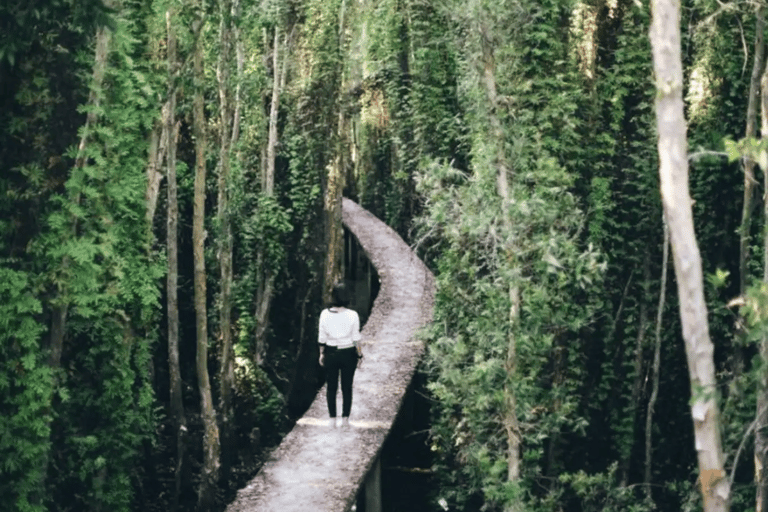 Ho Chi Minh: Explore the mangrove Can Gio forest full day