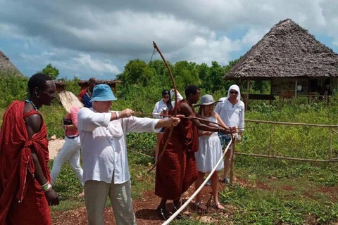 ZANZIBAR: Mnemba Island Dolphins & Maasai Village Experience