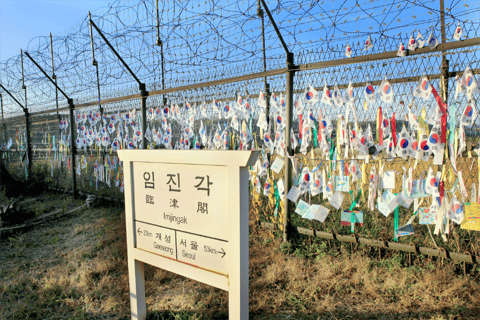 Da Seul: Tour di un giorno della DMZ e del Geoparco UNESCO delle Cascate di JaeinPartenza dalla stazione DHCP Uscita 10