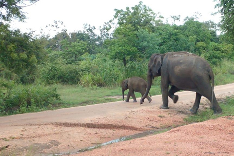 Excursie naar Hurulu Eco Park