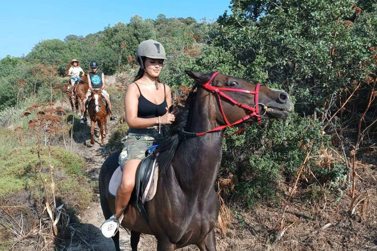 Bodrum: Horse Riding Experience with Forest or Seaside Route Seaside Horse Riding Tour (2 Hours – Beach Route)