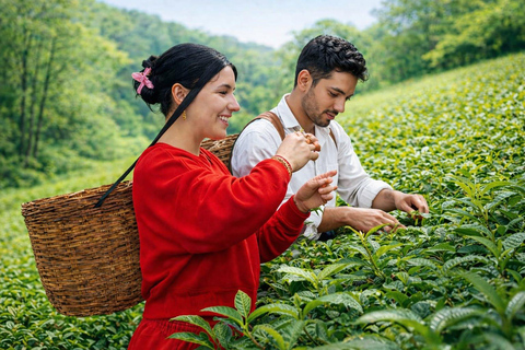 Kandy to Nuwara Eliya Drop or Nanu Oya Train Ride to Ella