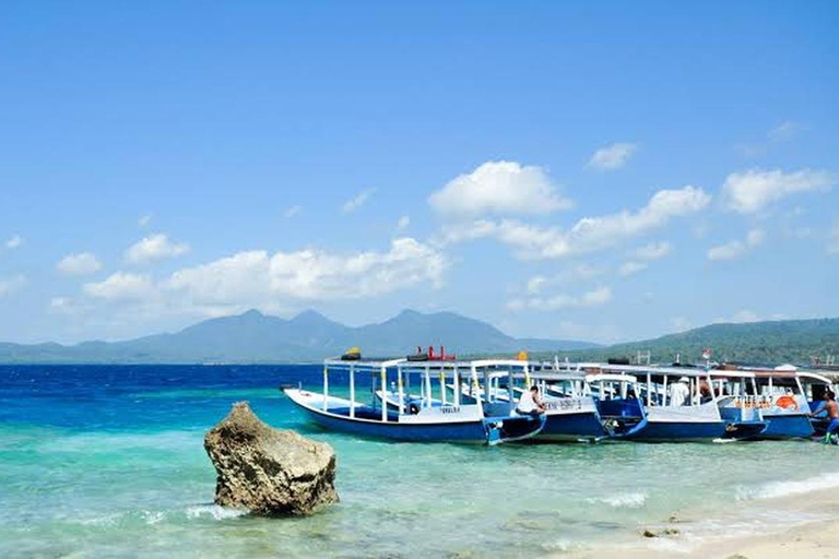 Banyuwangi: 1 Day Tour Snorkeling & Explore Menjangan Island From Banyuwangi : Snorkeling Menjangan Island drop off Bali