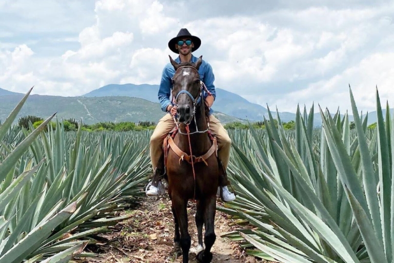 Oaxaca : Randonnée à cheval et dégustation de mezcal