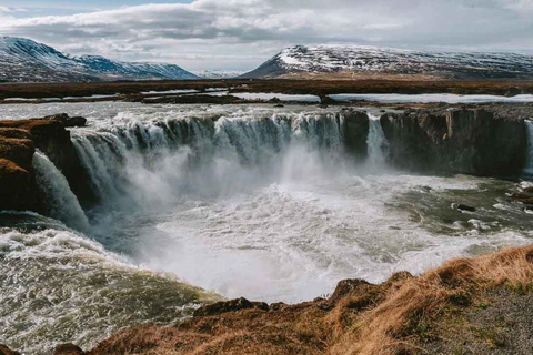 Akureyri: Goðafoss Waterfall and Whale Watching Tour