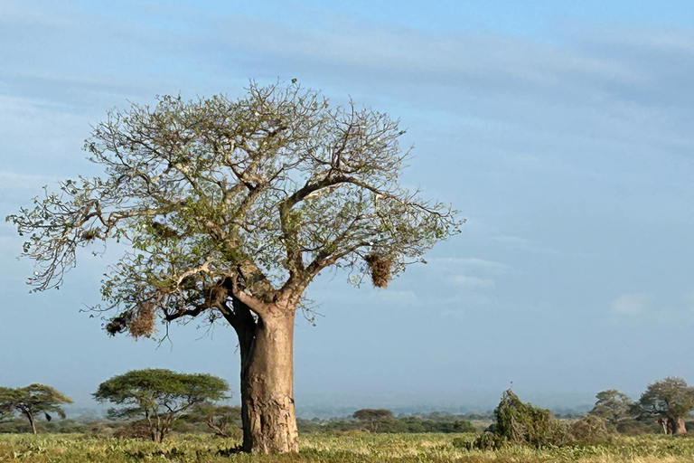 Mombasa: 3-Day Tsavo East/West & Kilimanjaro Views Safari