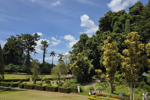 The Best Kandy Tuk-Tuk city Tour with a Professional Guide