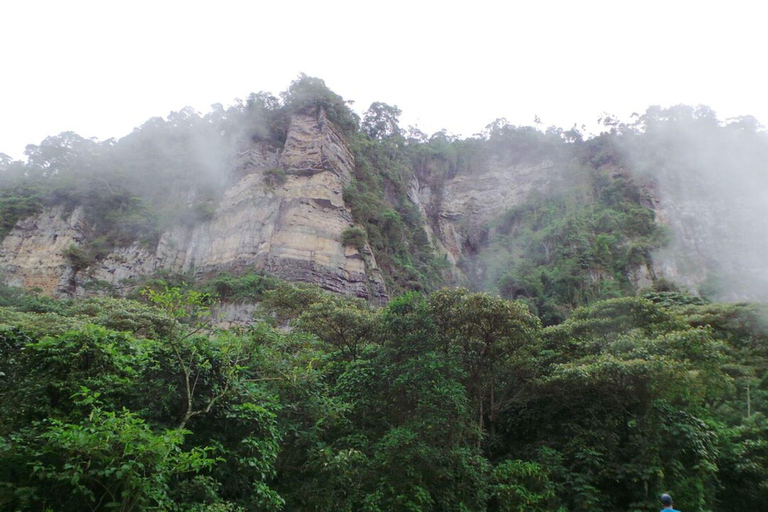 Bogota: Explore the forest and bird watching at Chicaque Natural Park