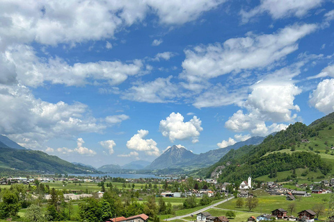Luzern: privé-tour met e-bike langs 4 meren en boottocht op het VierwoudstedenmeerLuzern: privé-tour met e-bike langs 4 meren en cruise op het Vierwoudstedenmeer