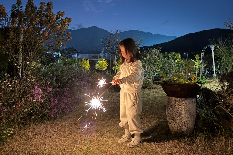 Busan: Korean Cooking Class with Kimchi and Gimbap