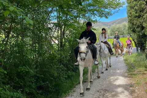 Certosa di Calci: Horseback Riding Experience for Beginners in Nature Horseback ride with aperitif