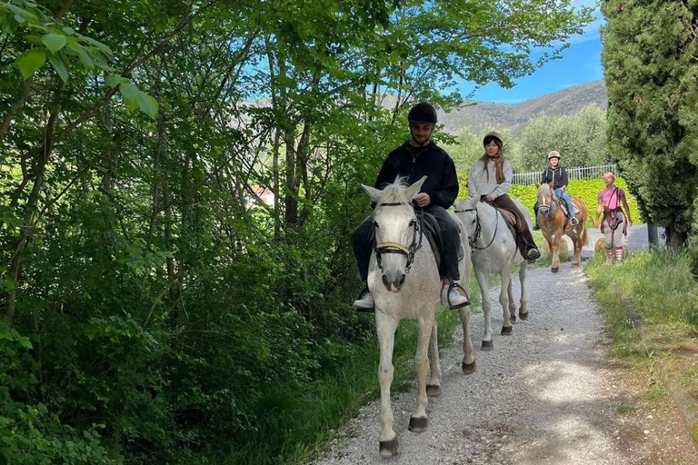 Certosa di Calci: Horseback Riding Experience for Beginners in Nature Horseback ride with aperitif
