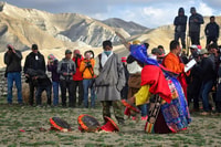 Mustang Teiji Festival 2024 - Housity