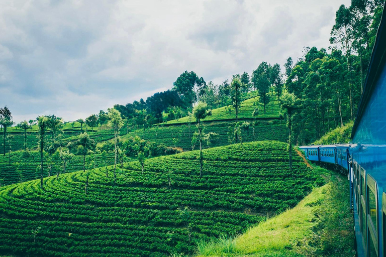 NanuOya: Second-Class Scenic Train Seat Reservation to Ella