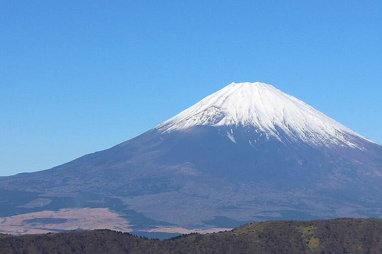 Mt.Fuji Private Tour; English Guide Fully Customizable