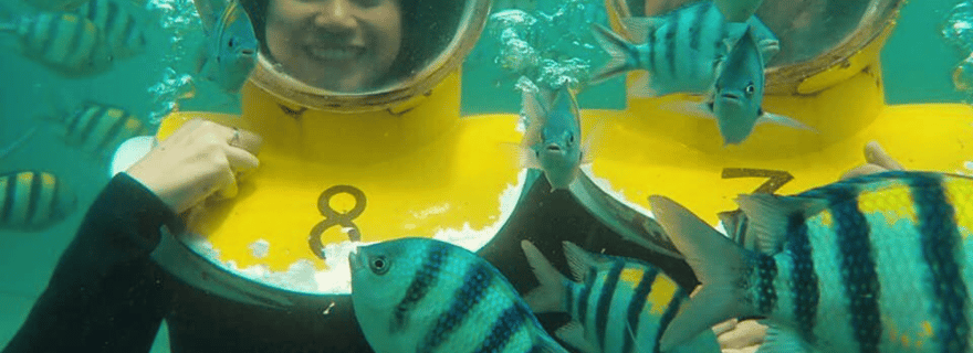 Bali : Expérience sous-marine Sea Walker