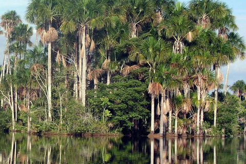 Tour Puerto Maldonado