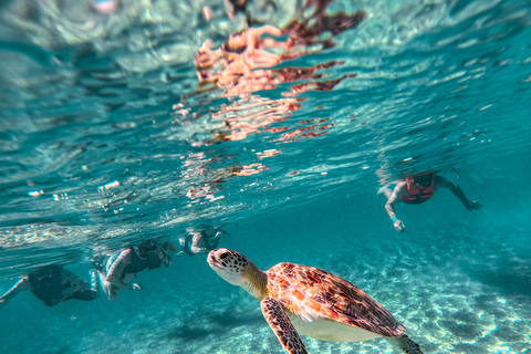 Cancun: Tulum Ruins, Akumal Turtles, Cenote & Caves Snorkel From Cancun