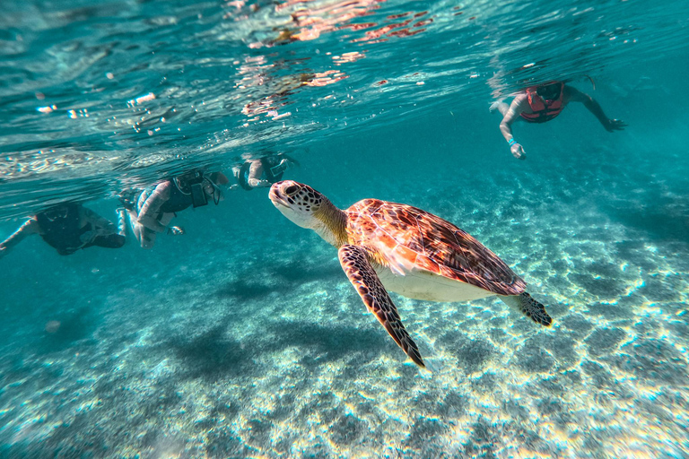 Cancun: Tulum Ruins, Akumal Turtles, Cenote & Caves Snorkel From Cancun