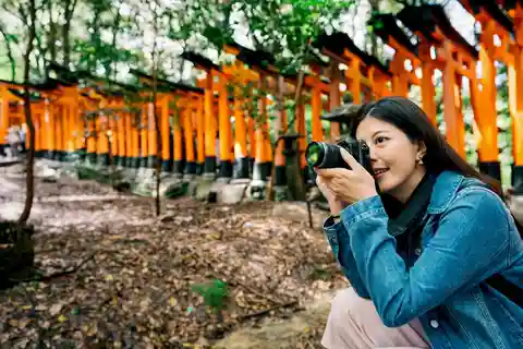 Kyoto: Heldagstur med engelsk guide til Kyotos høydepunkter