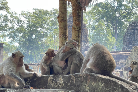 Visite en petit groupe au lever du soleil sur Angkor Wat à Siem Reap