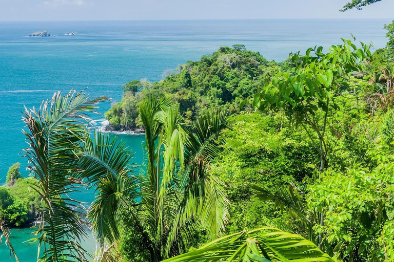 Manuel Antonio: Lekcje surfingu dla każdego - Kostaryka